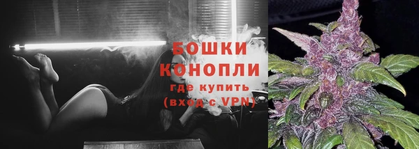 метадон Гусь-Хрустальный