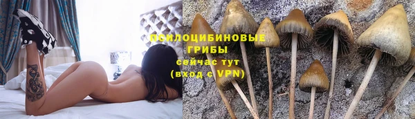 метадон Гусь-Хрустальный