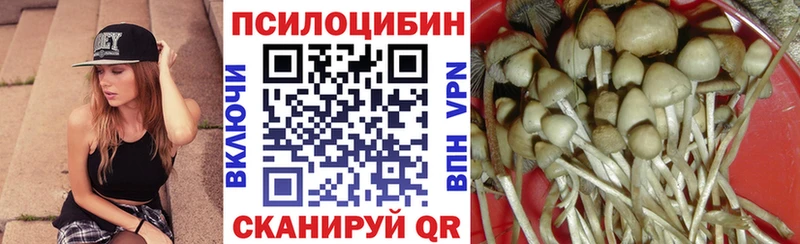 Купить где  Ленинск  Псилоцибиновые грибы GOLDEN TEACHER 